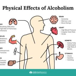 Alcohol effects digestive addiction tract stop first