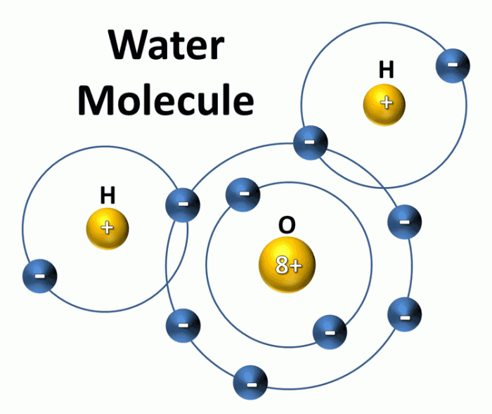 Polar covalent bonds polarity nonpolar kovalen ikatan molecule hydrogen oxygen atoms molecules h2o examples electrons