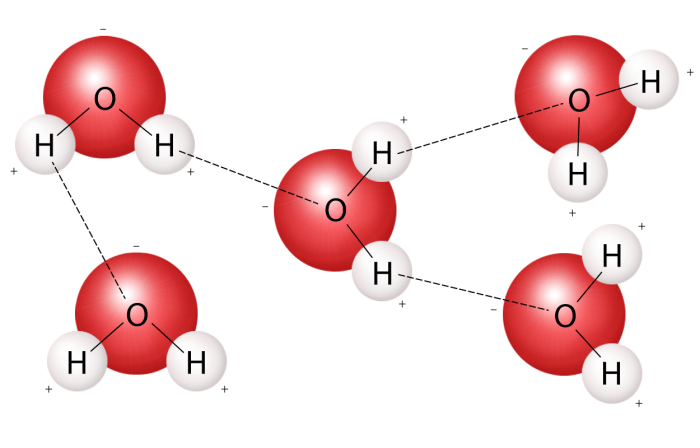 Draw 10 water molecules to create a cluster