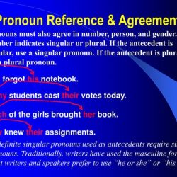 Quiz 3 clauses and pronoun reference