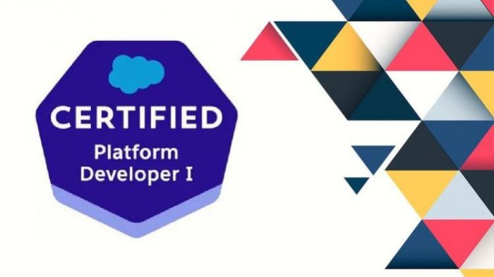 Salesforce platform developer 1 practice exam