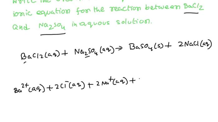 Sodium sulfate and barium chloride net ionic equation