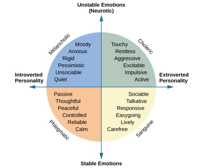 The eysencks believed that extraversion and emotionality are