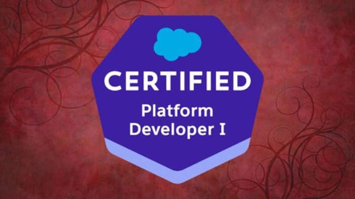 Salesforce platform developer 1 practice exam