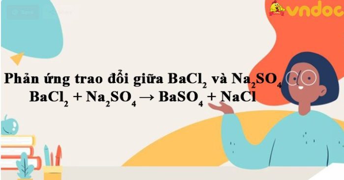 Sodium sulfate and barium chloride net ionic equation