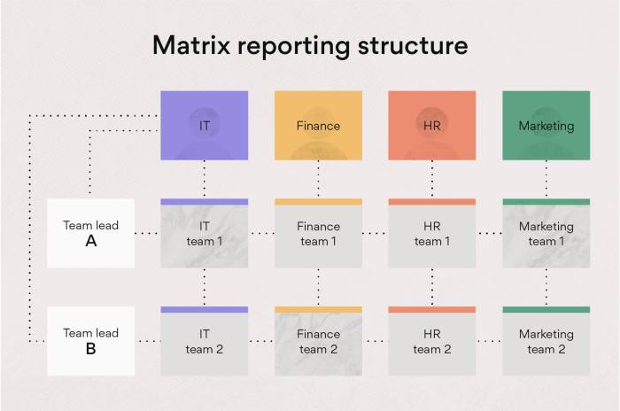 Which organizational structure issue is most apparent at authentic brew