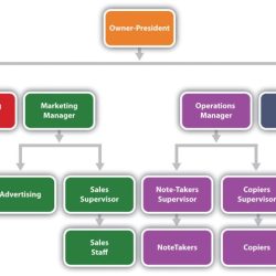 Which organizational structure issue is most apparent at authentic brew