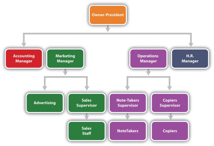 Which organizational structure issue is most apparent at authentic brew